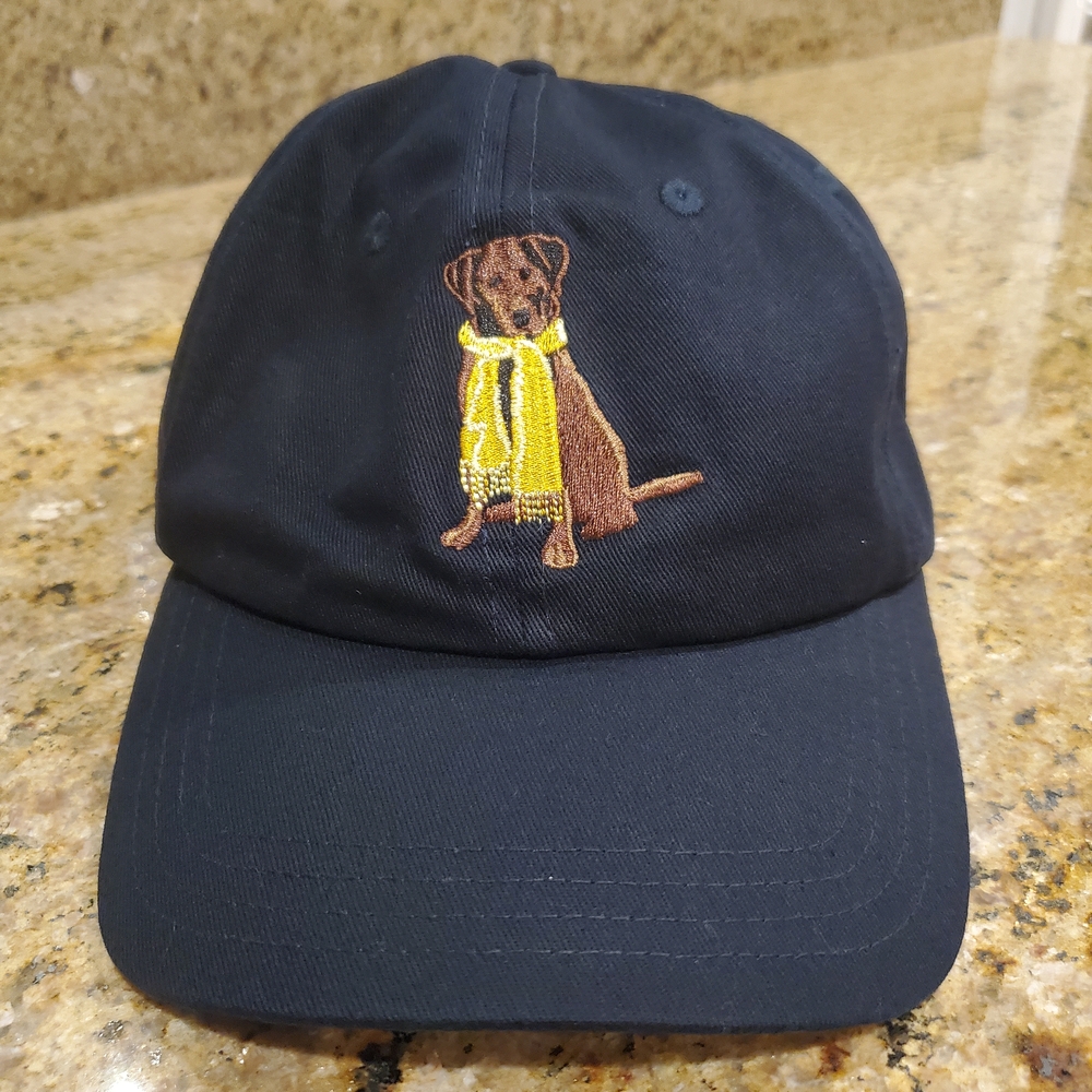 Golden Scarf Dog Cap